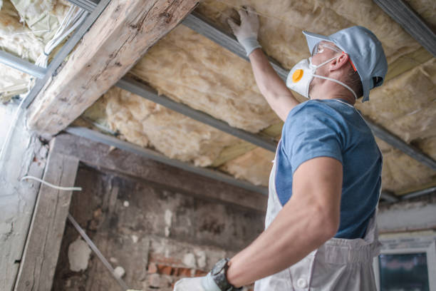 Best Energy-efficient Insulation  in Scranton, PA