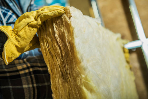 Best Insulation Removal  in Scranton, PA