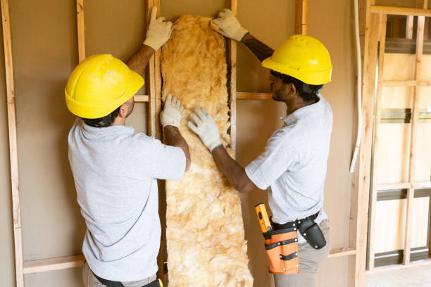 Best Insulation for New Construction  in Scranton, PA