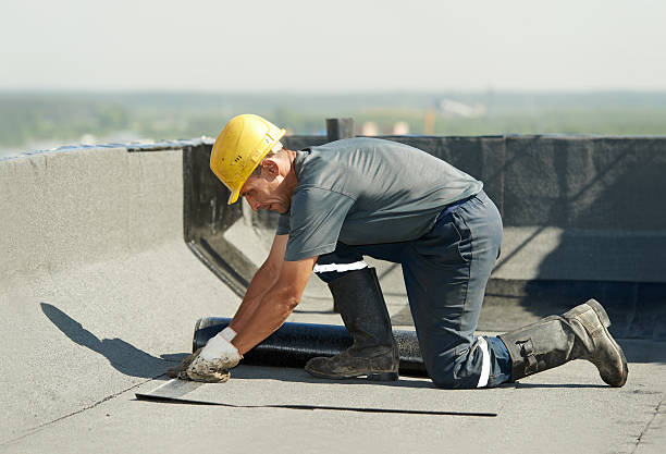 Best Insulation Contractors for Homes  in Scranton, PA