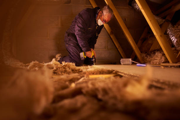 Best Local Insulation Services  in Scranton, PA