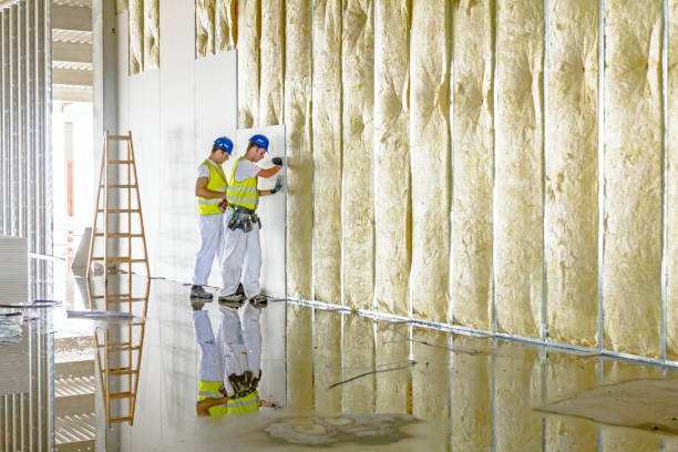 Best Garage Insulation Installation  in Scranton, PA